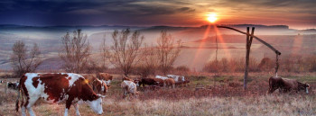 Țara Codrului, Maramureș