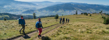 Țara Dornelor, Suceava