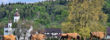 Vânători-Neamț, Neamț