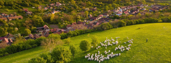 Țara Făgărașului, Brașov